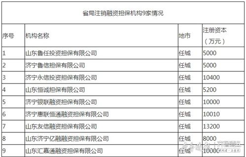 濟寧9家融資擔保機構退出市場，行業規范再升級