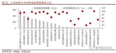 6號文紓民企出新招，堵城投斬擔保——融資性擔保機構角色再思考